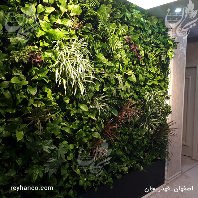دیوار سبز ریحان، گرین وال طبیعی