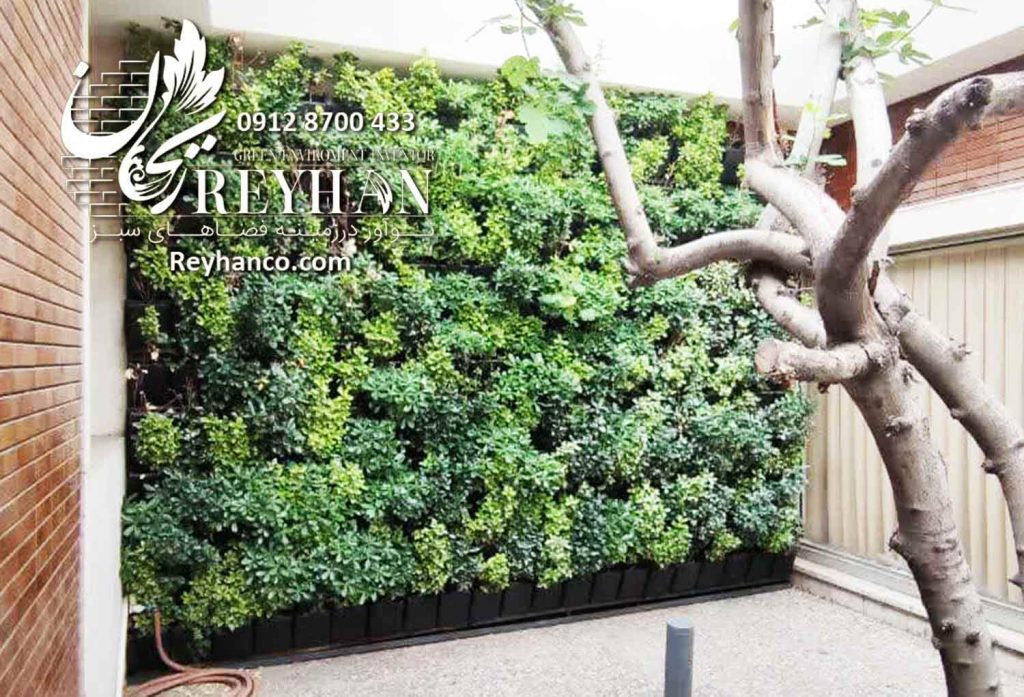 گرین وال طبیعی خارجی، اجرای دیوار سبز، دیوارسبز