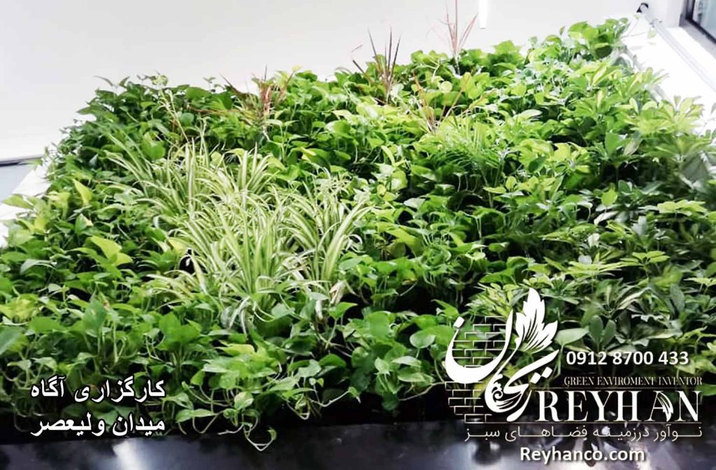 دیوار سبز تهران ، اجرای دیوار سبز ، گرین وال طبیعی