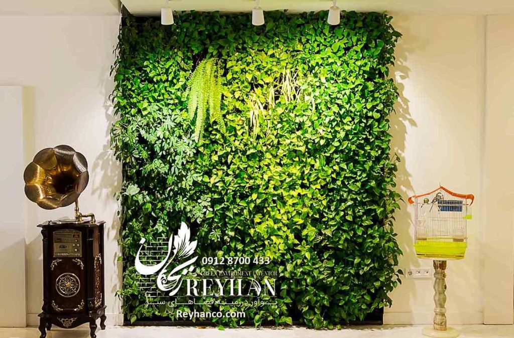 گرین وال طبیعی، دیوار سبز طبیعی، اجرای گرین وال