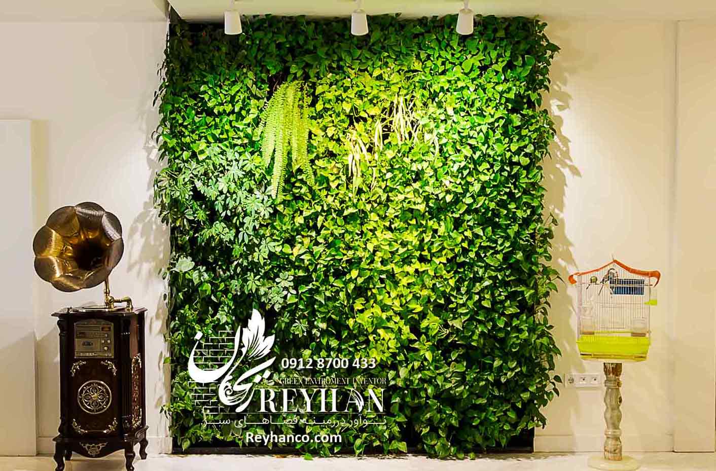 گرین وال طبیعی، دیوار سبز طبیعی، اجرای گرین وال